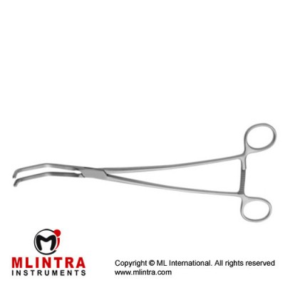 Cooley Atrauma Anastomosis Clamp Stainless Steel, 26.5 cm - 10 1/2"